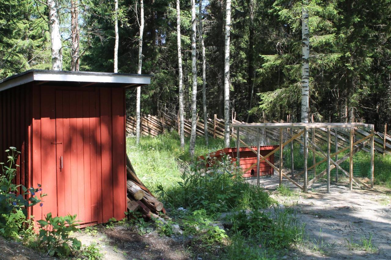 Metsapirtti Villa Kolinkylä Exterior foto