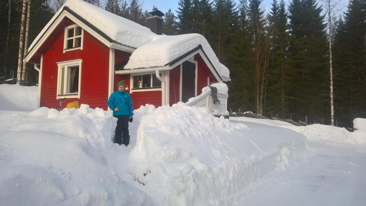 Metsapirtti Villa Kolinkylä Exterior foto